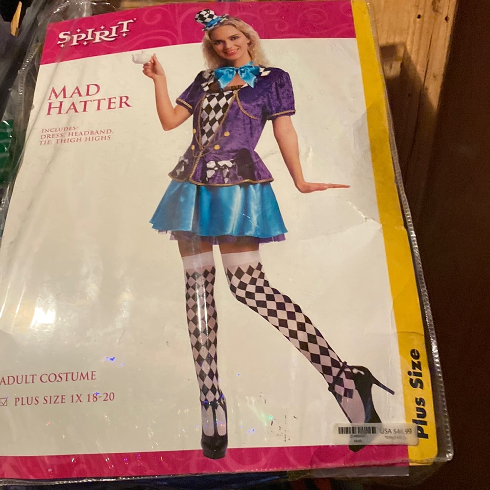 Women’s mad hater costume